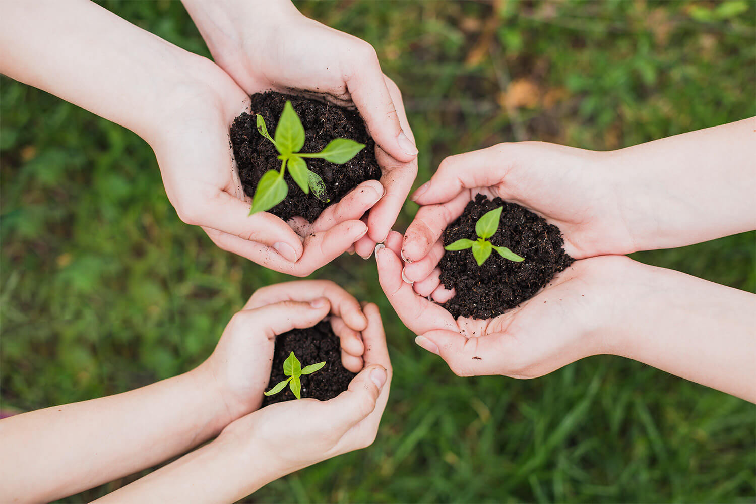 découvrez l'importance de l'écologie pour notre planète. explorez des solutions durables, des pratiques respectueuses de l'environnement et des conseils pour un mode de vie éco-responsable. engageons-nous ensemble pour préserver notre écosystème.