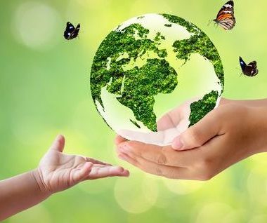 découvrez des informations essentielles sur l'écologie, son impact sur notre planète et les actions à entreprendre pour protéger notre environnement. explorez des solutions durables et apprenez comment chaque geste compte pour préserver notre écosystème.